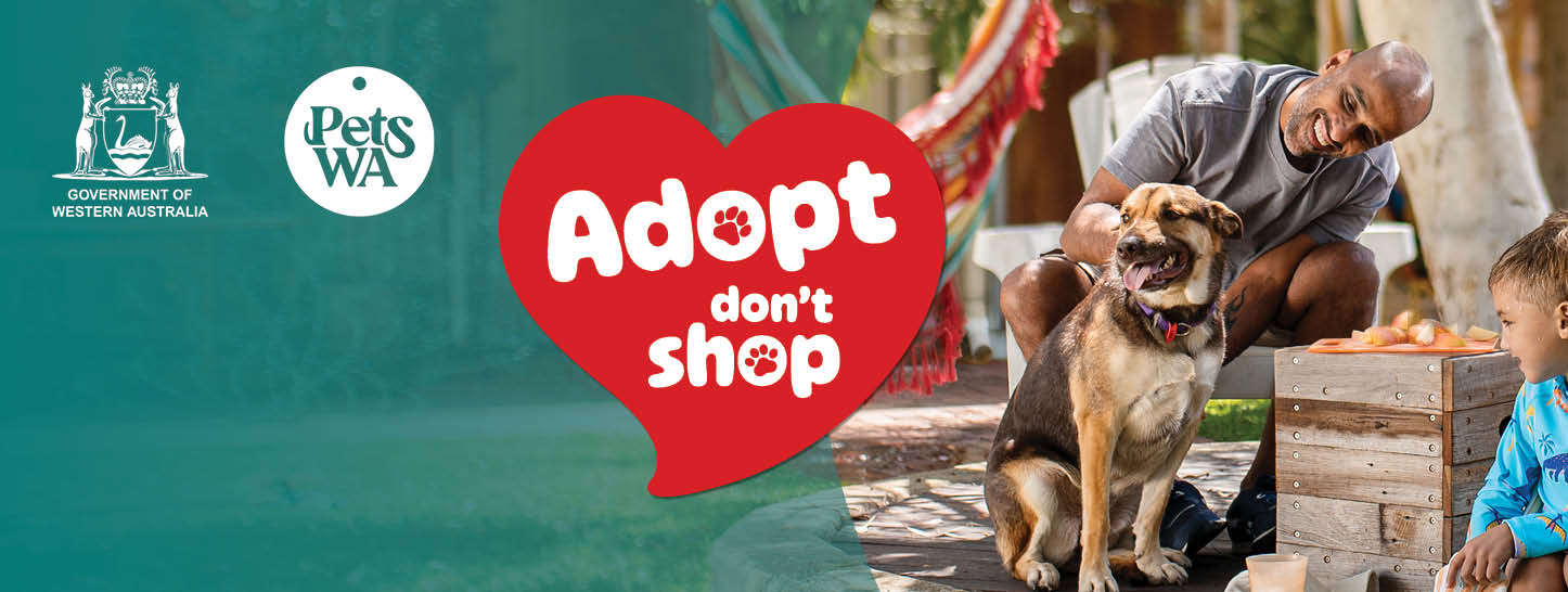 Adopt, Don't Shop campaign