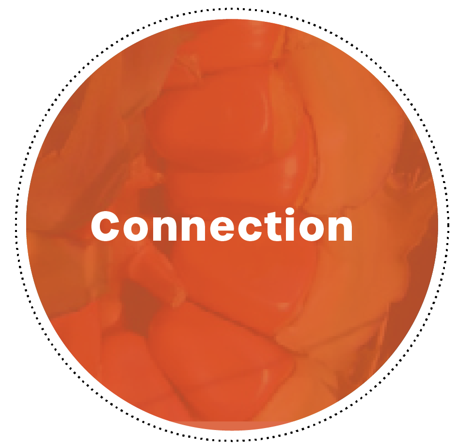 Red circle with the word, 'Connection'
