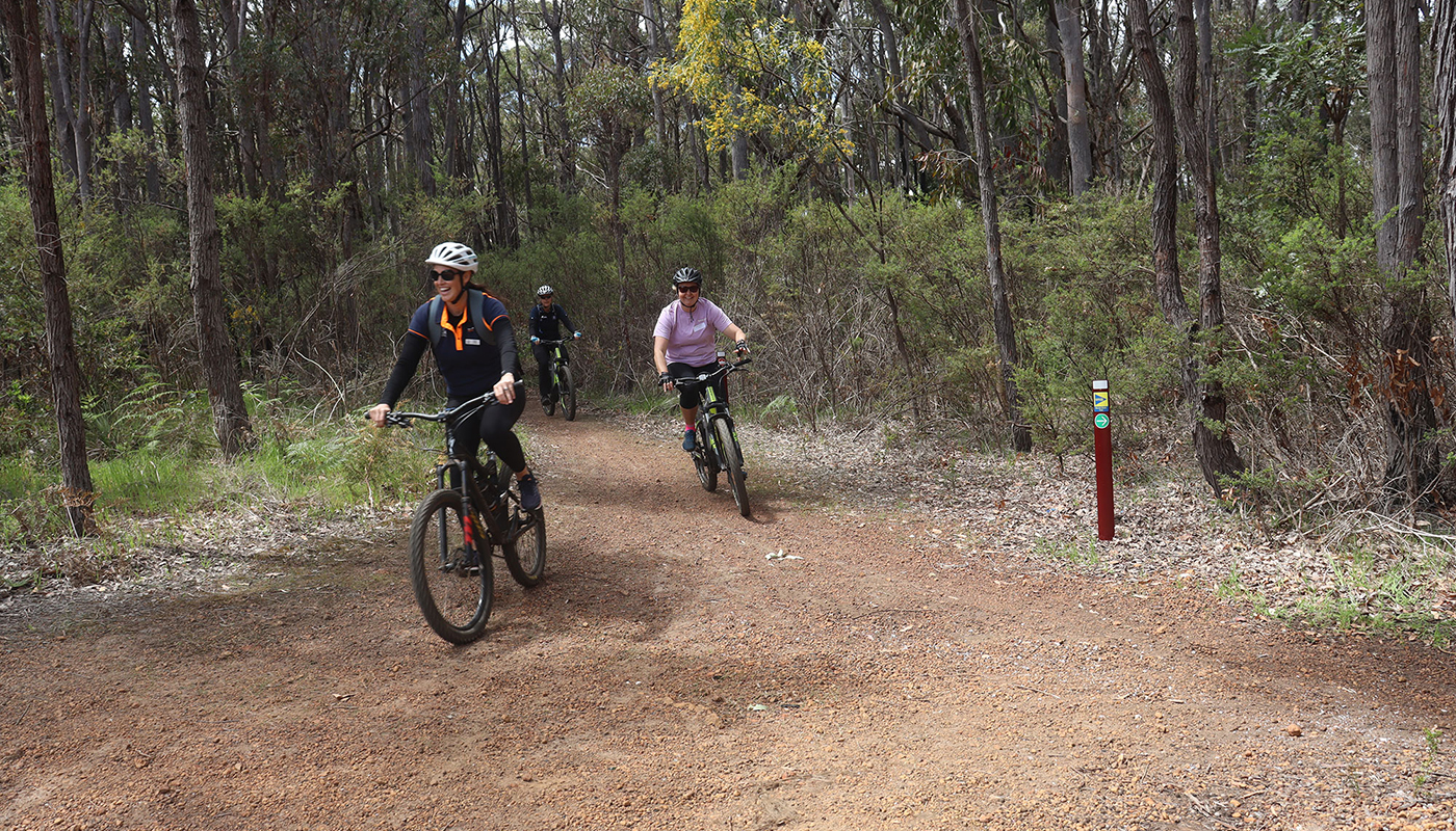 Three mountain bike riders on a bush track.