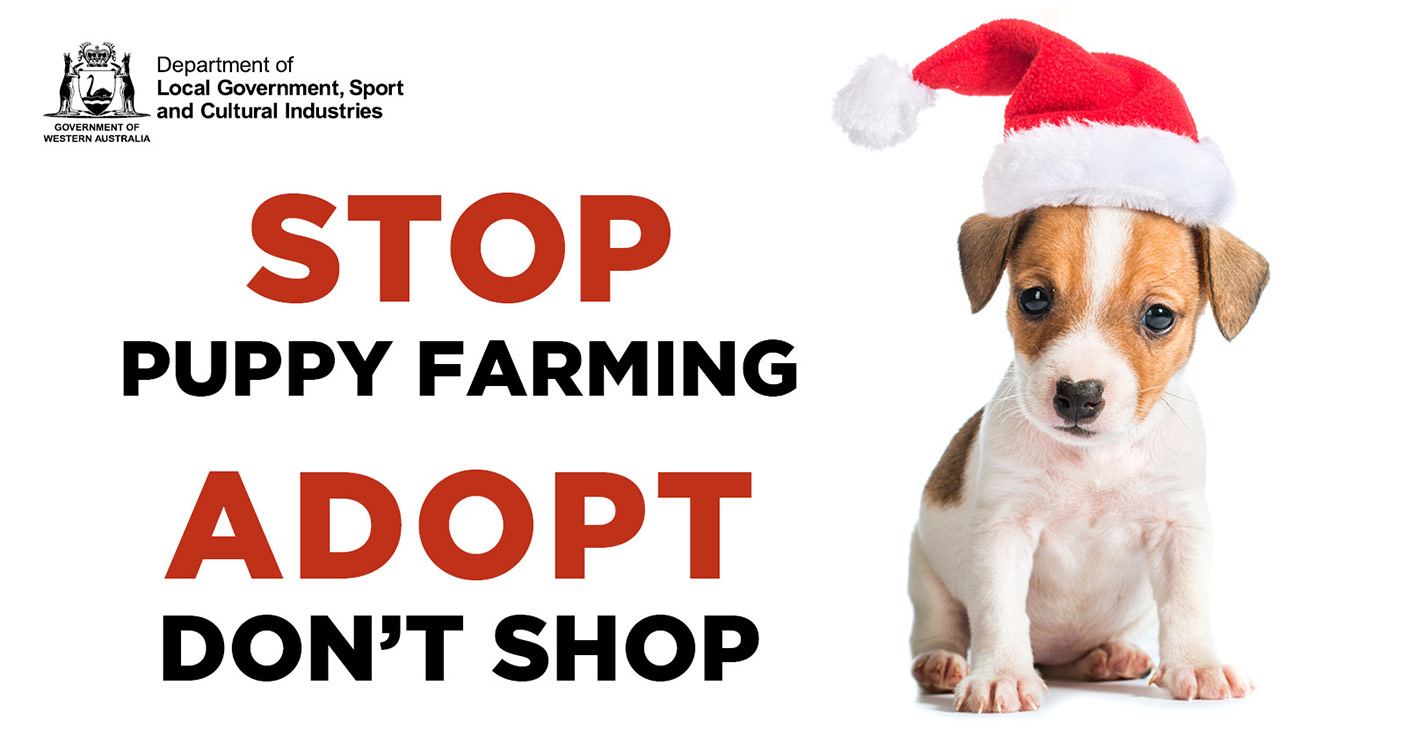 Stop pupp farming: adopt don't shop