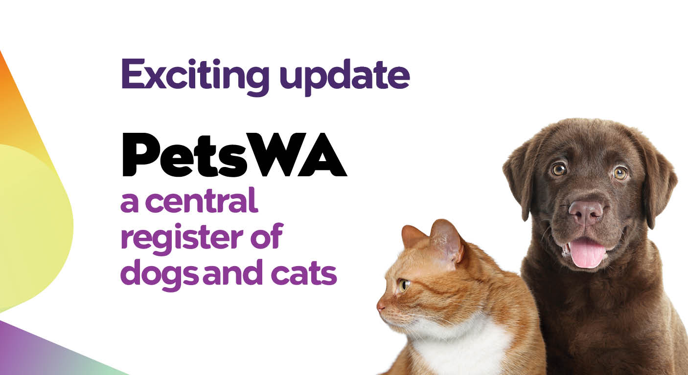 Exciting update: PetsWA a central register of dogs and cats. Image of a cat and a dog on a branded image.