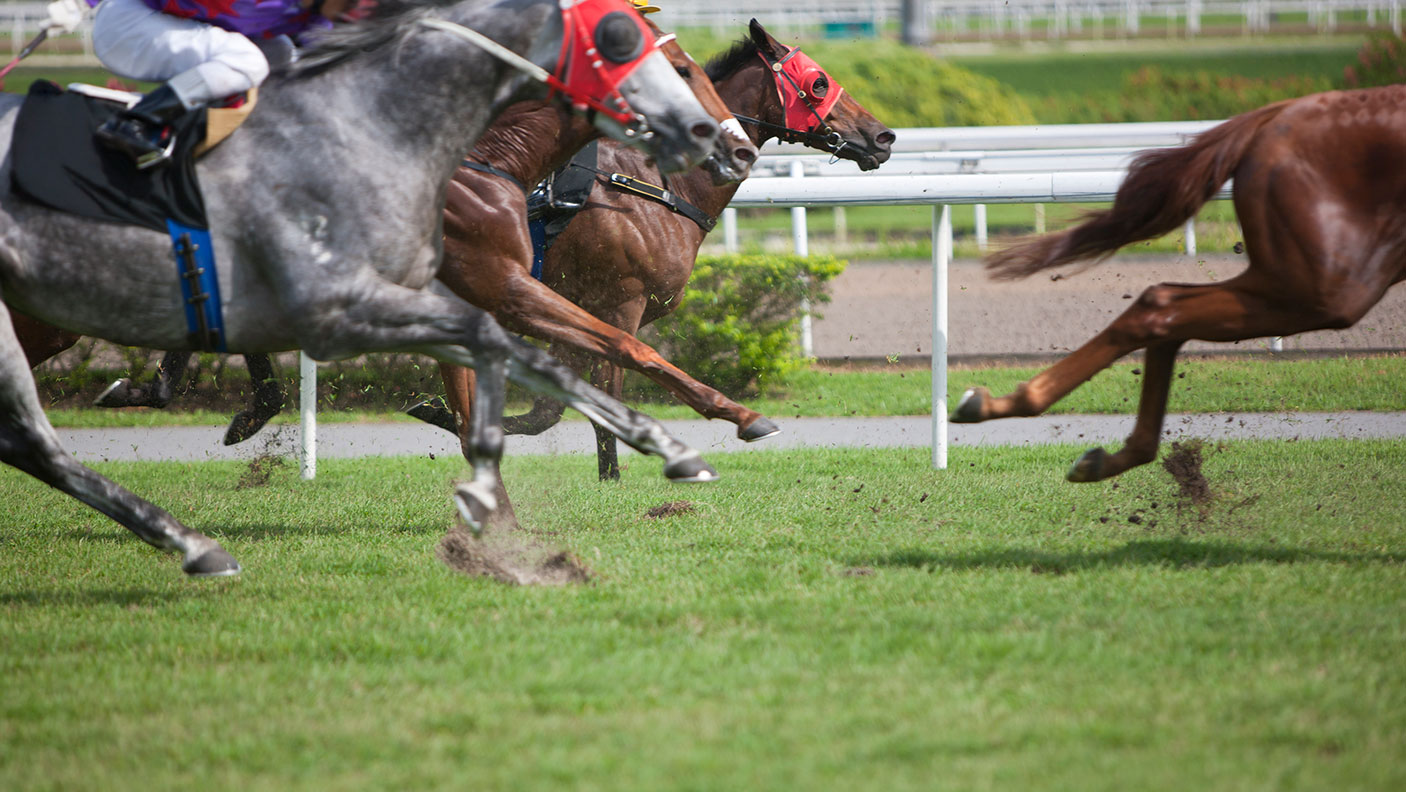 Horses competing on a grassy horse racing track.