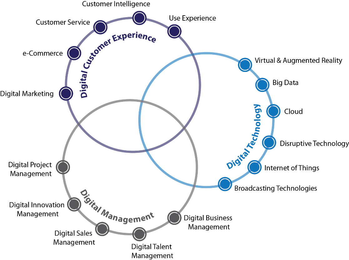 Figure 18 digital strategy including digital customer experience, virtual and augmented reality and digital management
