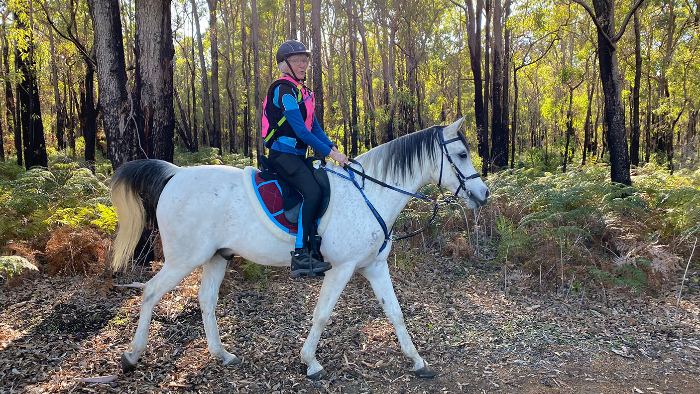 A person rides a horse on a forest trail. 