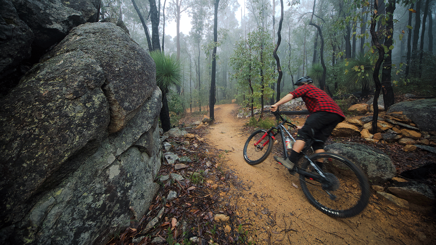 A mountain bike rider on a bush trail with a thick fog in the background