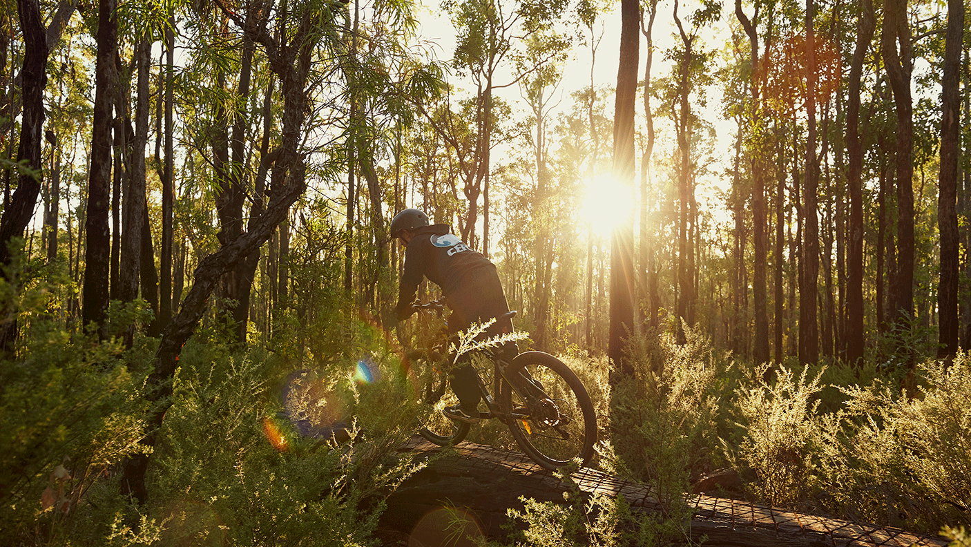 A person riding a mountain bike through thick bushland.