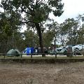 Tents and cars in an outdoor camping area